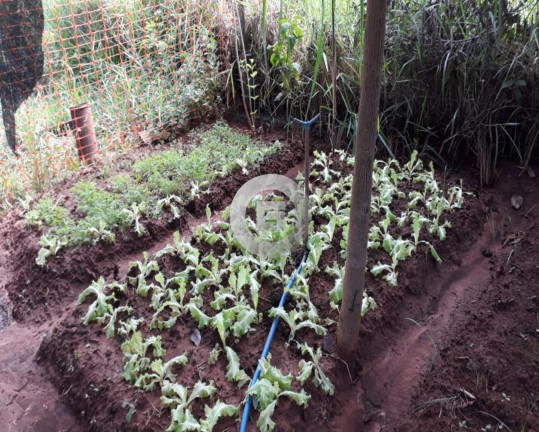 Imagem Imóvel com 3 Quartos à Venda, 100 m² em Lagoinha - Montes Claros