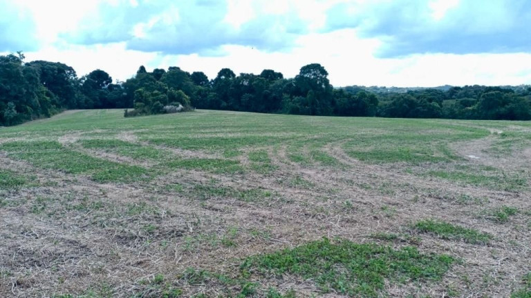 Imagem Fazenda à Venda, em Zona Rural - Araucaria Imagem Fazenda à Venda, em Zona Rural - Araucaria