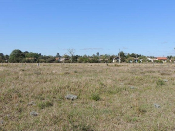 Imagem Terreno à Venda, 1.000 m² em Morro Grande - Viamão