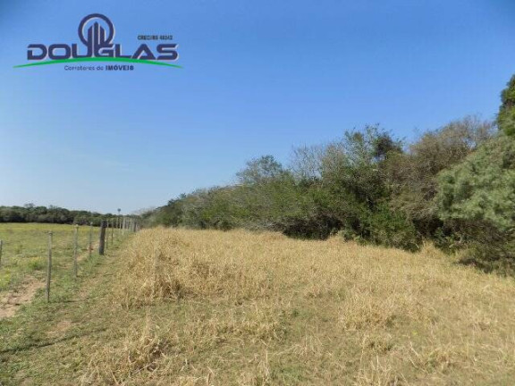 Imagem Chácara à Venda, 20.000 m² em águas Claras - Viamão Imagem Chácara à Venda, 20.000 m² em águas Claras - Viamão