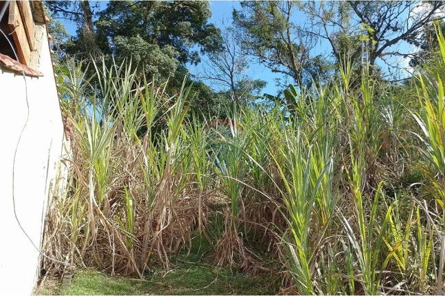 Imagem Terreno à Venda, 2.729 m² em Guaratiba - Rio De Janeiro Imagem Terreno à Venda, 2.729 m² em Guaratiba - Rio De Janeiro