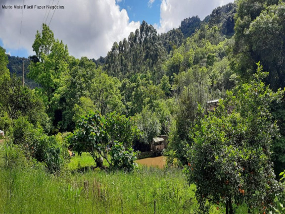 Imagem Terreno à Venda, 2 m² em Linha Olinda - Nova Petrópolis