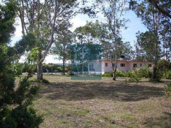 Imagem Chácara à Venda, 35 m² em Vargem Pequena - Florianópolis Imagem Chácara à Venda, 35 m² em Vargem Pequena - Florianópolis