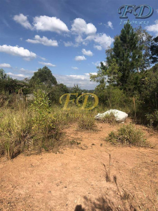 Imagem Terreno à Venda, 61.000 m² em Terra Preta - Mairiporã Imagem Terreno à Venda, 61.000 m² em Terra Preta - Mairiporã