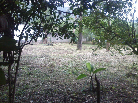 Imagem Terreno à Venda, 12.660 m² em Lagoa Da Conceição - Florianópolis Imagem Terreno à Venda, 12.660 m² em Lagoa Da Conceição - Florianópolis