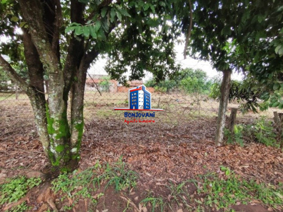 Imagem Imóvel à Venda, 465 m² em Residencial Vista Alegre Ii E Iii (zona Rural) - São José Do Rio Preto Imagem Imóvel à Venda, 465 m² em Residencial Vista Alegre Ii E Iii (zona Rural) - São José Do Rio Preto