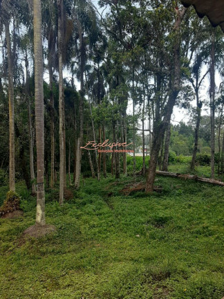 Imagem Chácara com 5 Quartos à Venda, 4.700 m² Imagem Chácara com 5 Quartos à Venda, 4.700 m²