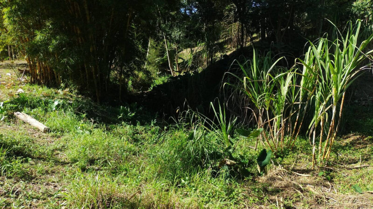 Imagem Chácara com 2 Quartos à Venda, 26 m² em Botujuru (botujuru) - Campo Limpo Paulista