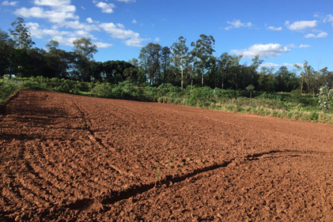 Terreno à Venda, 4.600 m² em Rodovia De Lovat - Umuarama