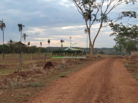 Imagem Fazenda à Venda, 198 m² em Santa Vitória
