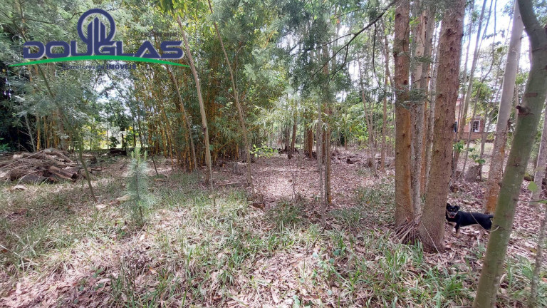 Imagem Terreno à Venda, 462 m² em águas Claras - Viamão