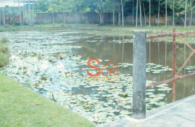 Imagem Fazenda à Venda, 1.000 m² em São João - Marituba Imagem Fazenda à Venda, 1.000 m² em São João - Marituba