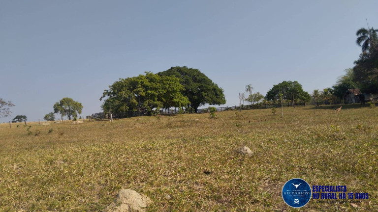 Imagem Chácara à Venda, 20 m² em Zona Rural - Morro Agudo De Goiás Imagem Chácara à Venda, 20 m² em Zona Rural - Morro Agudo De Goiás