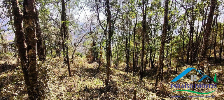 Imagem Chácara à Venda, 49 m² em Centro - Gonçalves Imagem Chácara à Venda, 49 m² em Centro - Gonçalves