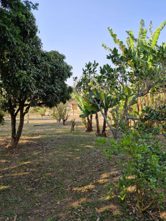 Imagem Chácara com 2 Quartos à Venda, 3.900 m² em Jardim Cananeia - Pilar Do Sul