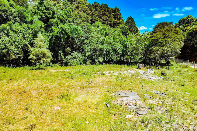 Imagem Terreno à Venda, 10.000 m² em São Miguel - Curitiba Imagem Terreno à Venda, 10.000 m² em São Miguel - Curitiba