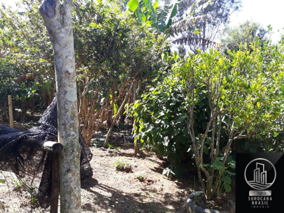 Imagem Imóvel com 3 Quartos à Venda, em Aracoiaba Da Serra - Araçoiaba Da Serra Imagem Imóvel com 3 Quartos à Venda, em Aracoiaba Da Serra - Araçoiaba Da Serra