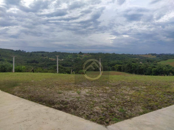 Imagem Chácara com 4 Quartos à Venda, 38.000 m² em Roça Velha - São José Dos Pinhais
