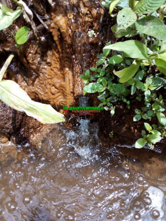 Imagem Chácara à Venda, 20.000 m² em São Silvestre (são Silvestre) - Jacareí Imagem Chácara à Venda, 20.000 m² em São Silvestre (são Silvestre) - Jacareí
