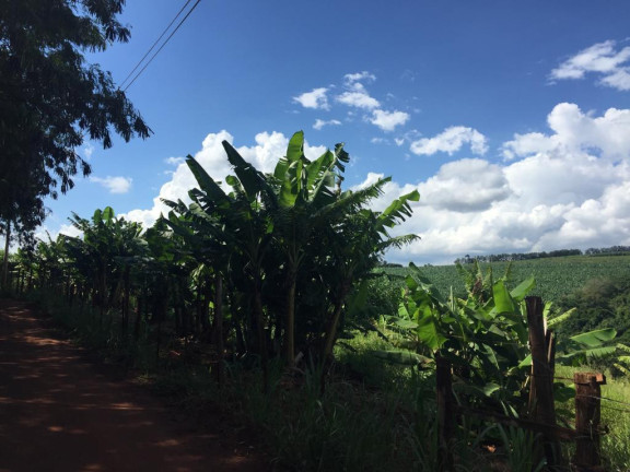 Imagem Chácara à Venda, 4 m² em Rural - Avaré Imagem Chácara à Venda, 4 m² em Rural - Avaré