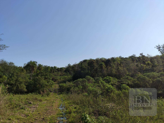 Imagem Imóvel à Venda, 125.895 m² em Aliança - Santa Cruz Do Sul Imagem Imóvel à Venda, 125.895 m² em Aliança - Santa Cruz Do Sul
