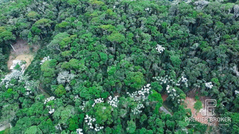 Imagem Terreno à Venda, 4.403 m² em Albuquerque - Teresópolis Imagem Terreno à Venda, 4.403 m² em Albuquerque - Teresópolis