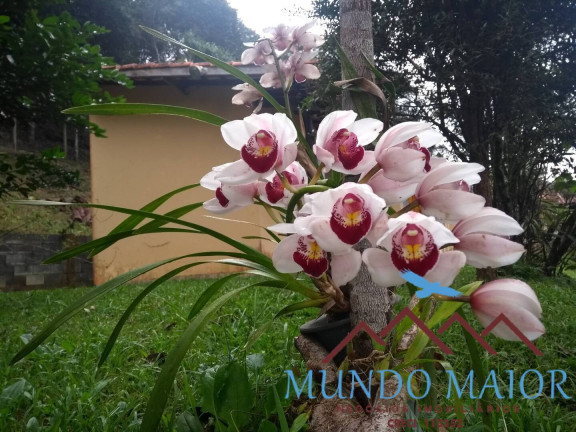Imagem Chácara com 3 Quartos à Venda, 3.200 m² em Club Dos Oficiais -suzano-sp - Suzano