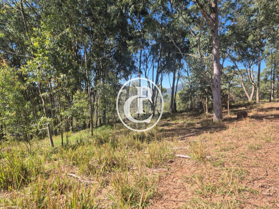 Imagem Chácara com 1 Quarto à Venda, 20 m² em água Soca - São José Dos Campos Imagem Chácara com 1 Quarto à Venda, 20 m² em água Soca - São José Dos Campos