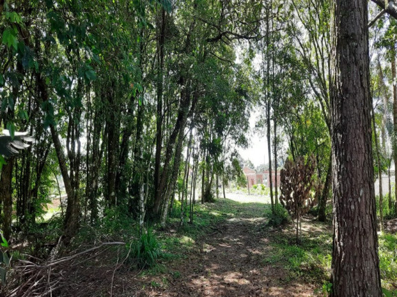 Imagem Terreno à Venda, 1.176 m² em Pousada Da Neve - Nova Petrópolis Imagem Terreno à Venda, 1.176 m² em Pousada Da Neve - Nova Petrópolis