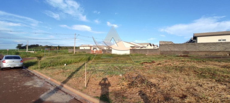 Imagem Terreno à Venda, 186 m² em Reserva Macaúba - Ribeirão Preto Imagem Terreno à Venda, 186 m² em Reserva Macaúba - Ribeirão Preto
