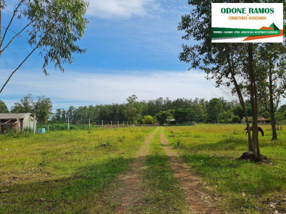Imagem Chácara com 3 Quartos à Venda, 24.000 m² em Capão Do Padre - Caju - Nova Santa Rita