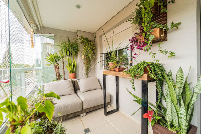 Imagem Apartamento com 3 Quartos à Venda, 103 m² em Vila Mascote - São Paulo Imagem Apartamento com 3 Quartos à Venda, 103 m² em Vila Mascote - São Paulo