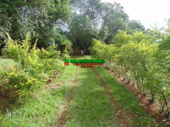 Imagem Chácara com 5 Quartos à Venda, 96.800 m² em Cedro - Cunha Imagem Chácara com 5 Quartos à Venda, 96.800 m² em Cedro - Cunha