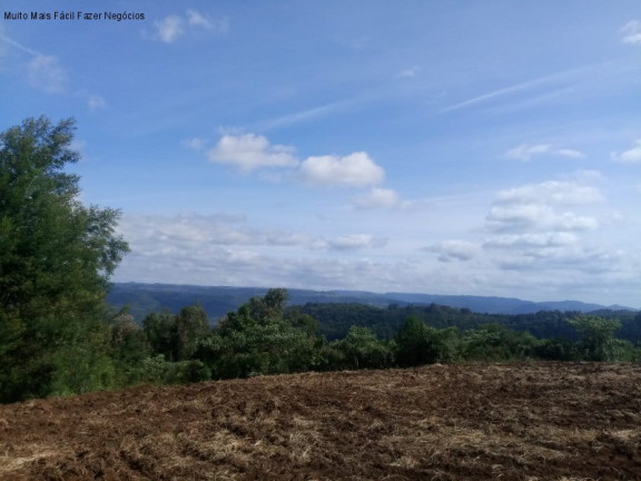 Imagem Terreno à Venda, 4 m² em Pinhal Alto - Nova Petrópolis