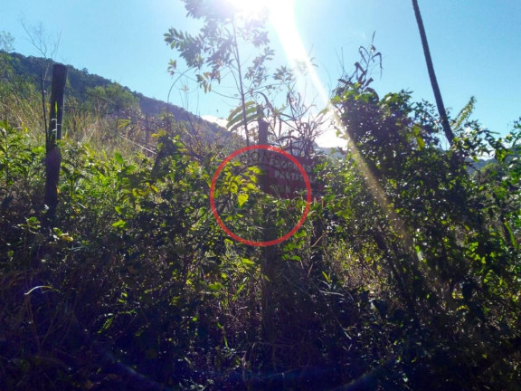 Imagem Terreno à Venda, 800 m² em Bonete - Ilhabela Imagem Terreno à Venda, 800 m² em Bonete - Ilhabela
