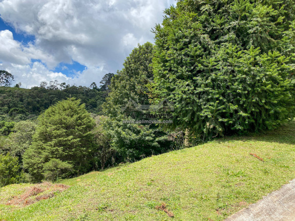 Imagem Terreno em Condomínio à Venda, 1 m² em Alto Capivari - Campos Do Jordão Imagem Terreno em Condomínio à Venda, 1 m² em Alto Capivari - Campos Do Jordão
