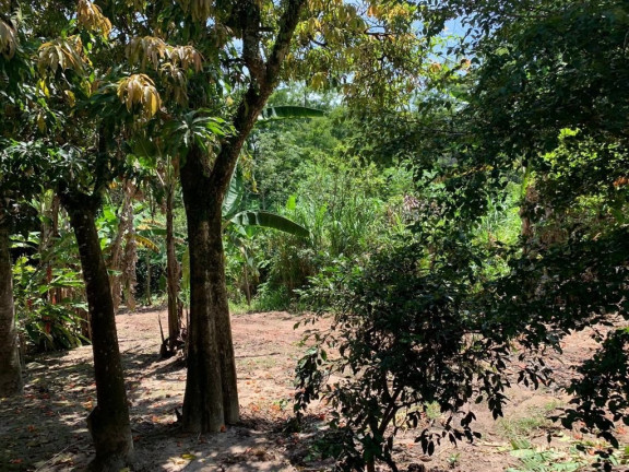 Imagem Terreno à Venda, 80 m² em Jardim Santo Antônio Da Boa Vista - Jacareí Imagem Terreno à Venda, 80 m² em Jardim Santo Antônio Da Boa Vista - Jacareí