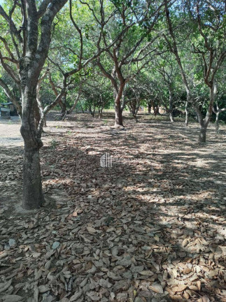 Imagem Terreno à Venda, 12.800 m² em Todos Os Santos - Teresina Imagem Terreno à Venda, 12.800 m² em Todos Os Santos - Teresina
