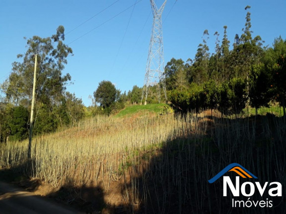 Imagem Imóvel à Venda, 60.000 m² em Linha Riachuelo - Nova Petrópolis