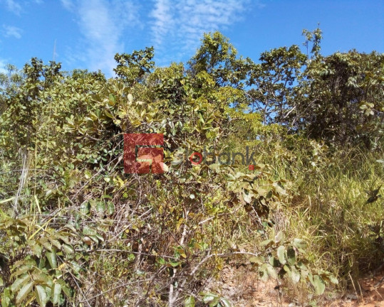 Imagem Imóvel à Venda, 3.500 m² em Centro - Montes Claros Imagem Imóvel à Venda, 3.500 m² em Centro - Montes Claros