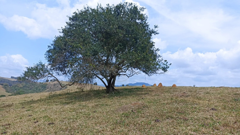 Imagem Chácara com 1 Quarto à Venda, 10 m² em Capim Da Angola - Paraibuna Imagem Chácara com 1 Quarto à Venda, 10 m² em Capim Da Angola - Paraibuna