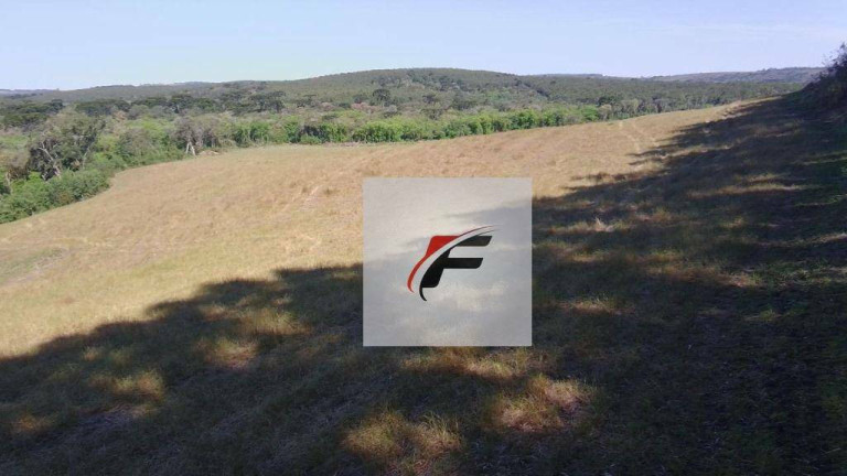 Imagem Chácara com 3 Quartos à Venda, 242.000 m² em Centro - Lapa