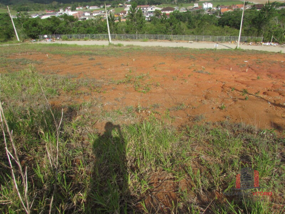 Imagem Terreno à Venda, em Forquilhas - São José Imagem Terreno à Venda, em Forquilhas - São José