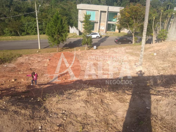 Imagem Terreno à Venda, 534 m² em Portal Do Santa Paula - Cotia