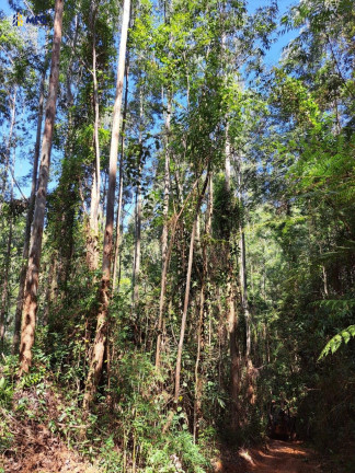 Chácara à Venda,  em Centro - Bragança Paulista