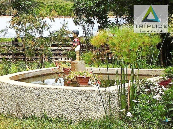 Imagem Chácara com 3 Quartos à Venda, 20.000 m² em Filgueiras - Juiz De Fora