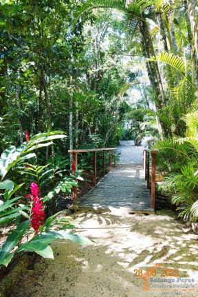 Casa de Condomínio com 4 Quartos à Venda, 350 m² em Praia Vermelha - Ubatuba