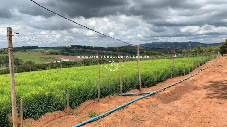 Imagem Chácara à Venda, 121.000 m² em Campinho - Bragança Paulista Imagem Chácara à Venda, 121.000 m² em Campinho - Bragança Paulista