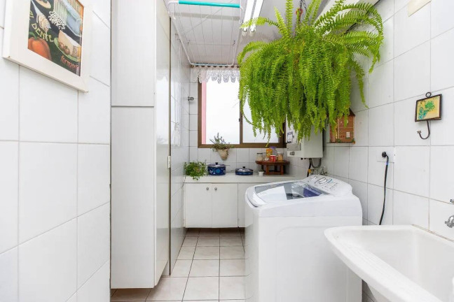 Imagem Apartamento com 3 Quartos à Venda, 92 m² em Vila Mascote - São Paulo