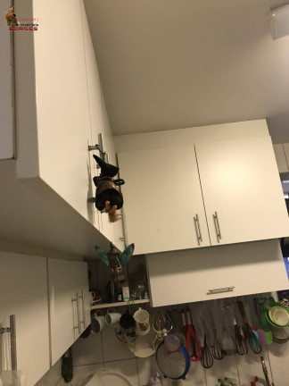 Imagem Apartamento com 2 Quartos à Venda, 75 m² em Vila Santa Catarina - São Paulo
